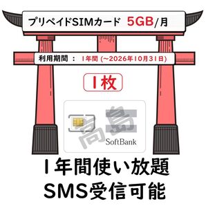 プリペイドSIMカード SOFTBANK回線 データ通信 5GB/月 一年間利用 SMS受信可