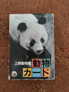 送料無料！上野動物園/動物カード/トントンの頃/30年くらい前のもの/レア