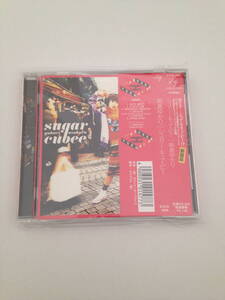 格安！珍盤 Sugar Cubee(シュガー・キュービー) 朝倉ゆかり　 」 　　帯付き見本品盤CD