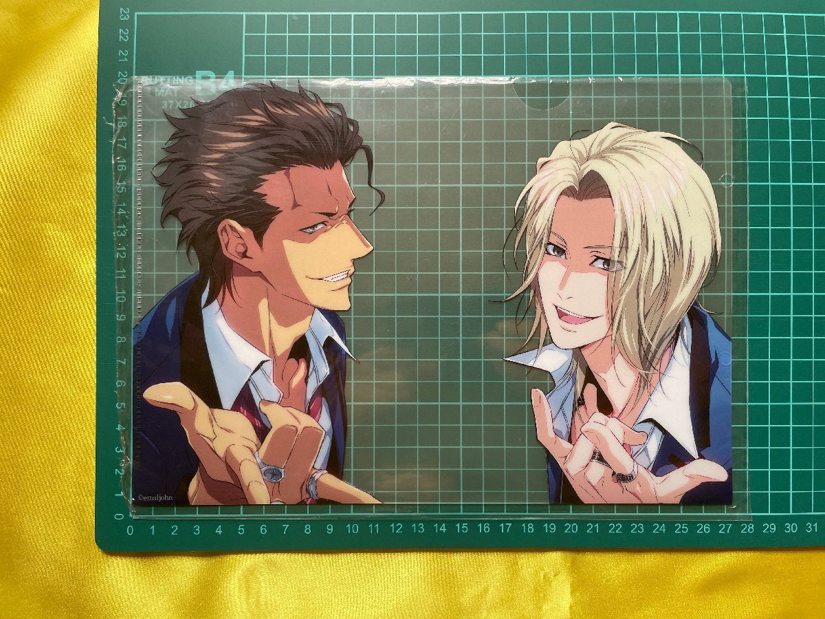 【ACF6119 】桜井兄弟と写真を撮った気分になれる 【クリアファイル】