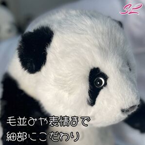 リアル パンダ ぬいぐるみ 【PANDA好き必見】リアル可愛い♪まるで本物の5ヶ月齢パンダぬいぐるみ 人気急上昇中のアイテムがついに登場。