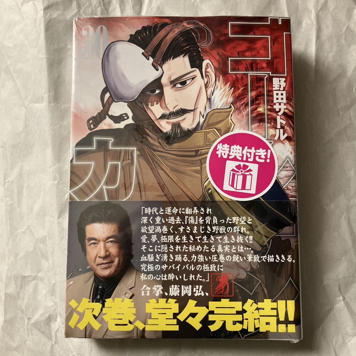 ゴールデンカムイ　30巻　特典付き　描き下ろしミニポスター