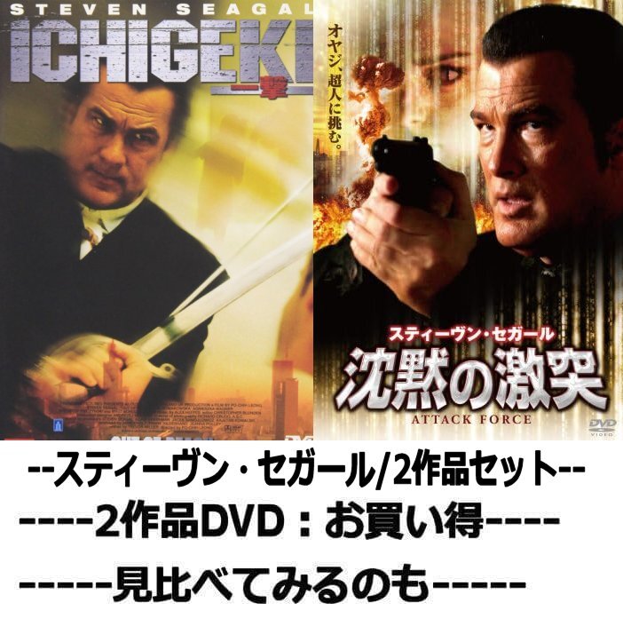 同時購入で100円　[DVD] スティーヴン・セガール2作品・0041