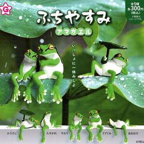 ★★★【送料込み】即決!ふちやすみ アマガエル 全5種 いっしょに一休みしよ/あまがえる/かえる/蛙/カエル/ガチャ/カプセルトイ★★★★★