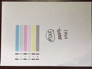 【H17268】プリンターヘッド ジャンク 印字確認済み QY6-0061 CANON キャノン PIXUS IP4300 IP5200 MP600 MP830