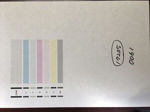 【H17205】プリンターヘッド ジャンク 印字確認済み QY6-0061 CANON キャノン PIXUS IP4300 IP5200 MP600 MP830