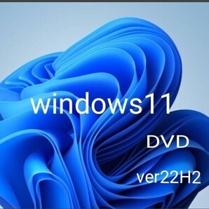 Windows11(22H2)条件回避/アップグレード クリーンインストール 両対応 ディスク