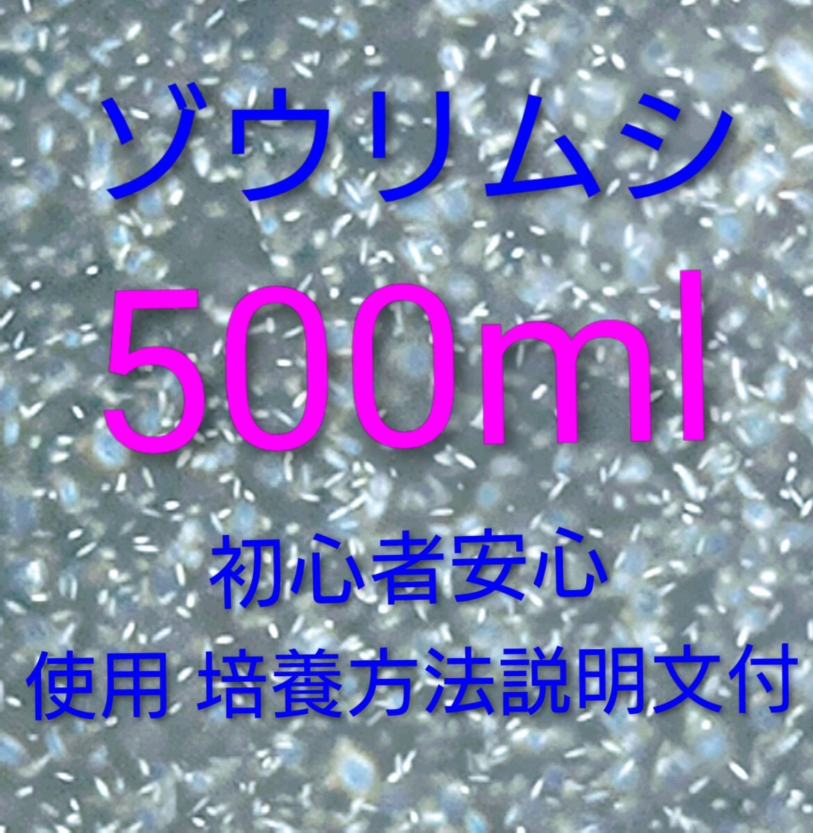 ゾウリムシ 種水 500mlを培養して メダカ 針子 稚魚 熱帯魚 金魚 錦鯉 