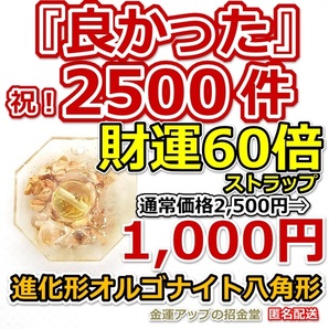感謝価格『【超強力】財運60倍 進化形オルゴナイト八角形ストラップ・キーホルダー/ネックレス』【金運アップの招金堂】最強金運/0601