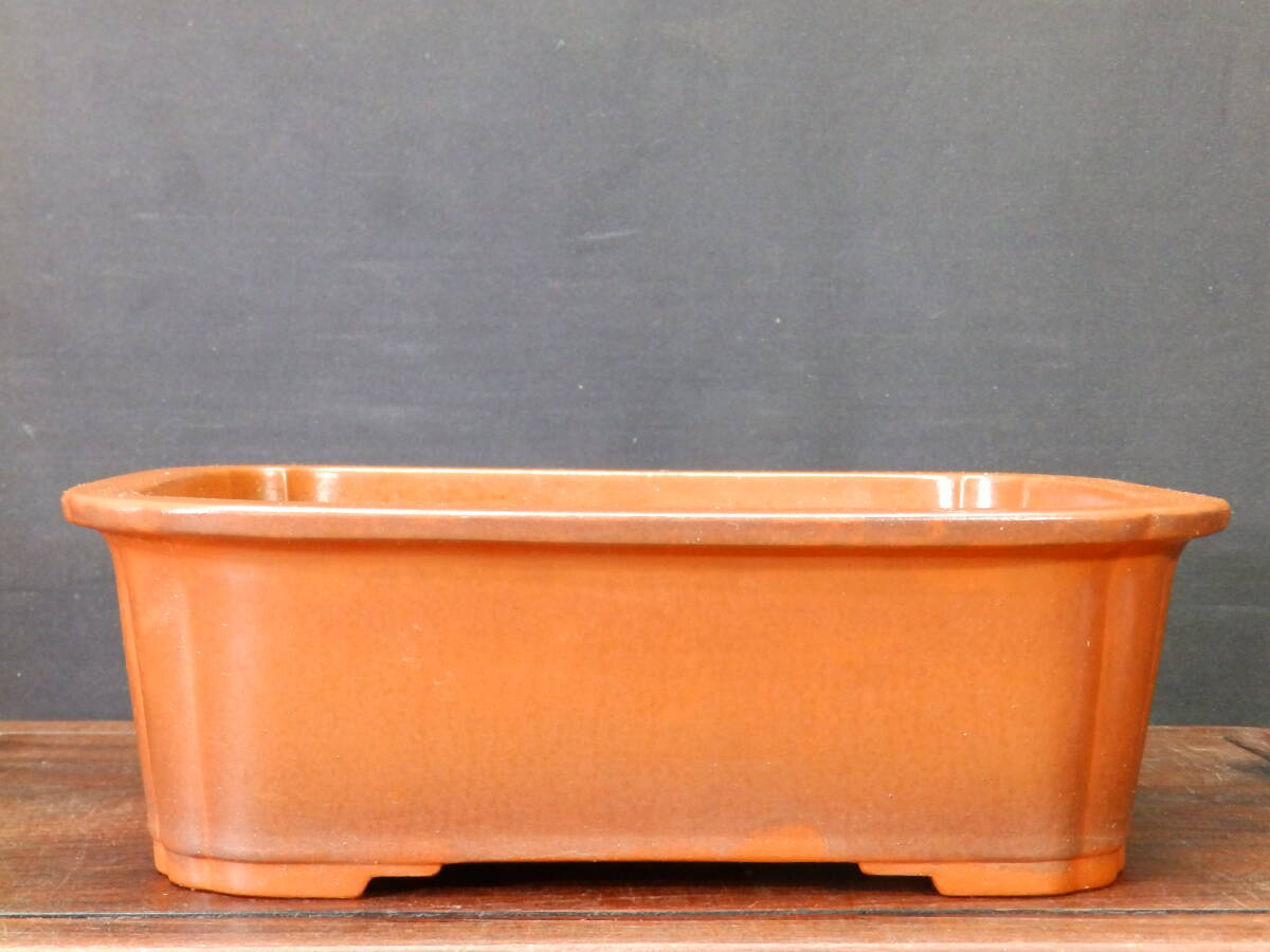 ★盆栽日和★　【和鉢】 外縁段足木瓜鉢・在銘　28.2㎝ 