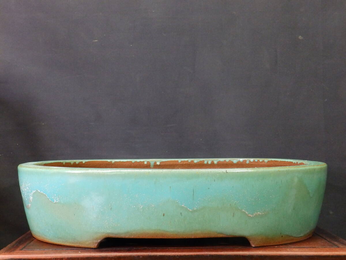 ★盆栽日和★　和鉢 【角山】 緑釉切立楕円鉢　47.5㎝ (h)