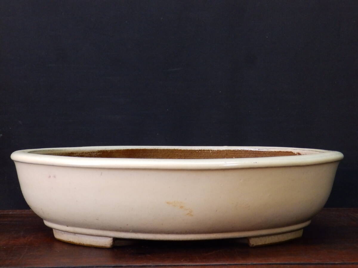 ★盆栽日和★　和鉢 【中野行山】 白釉玉縁楕円鉢　30㎝ 