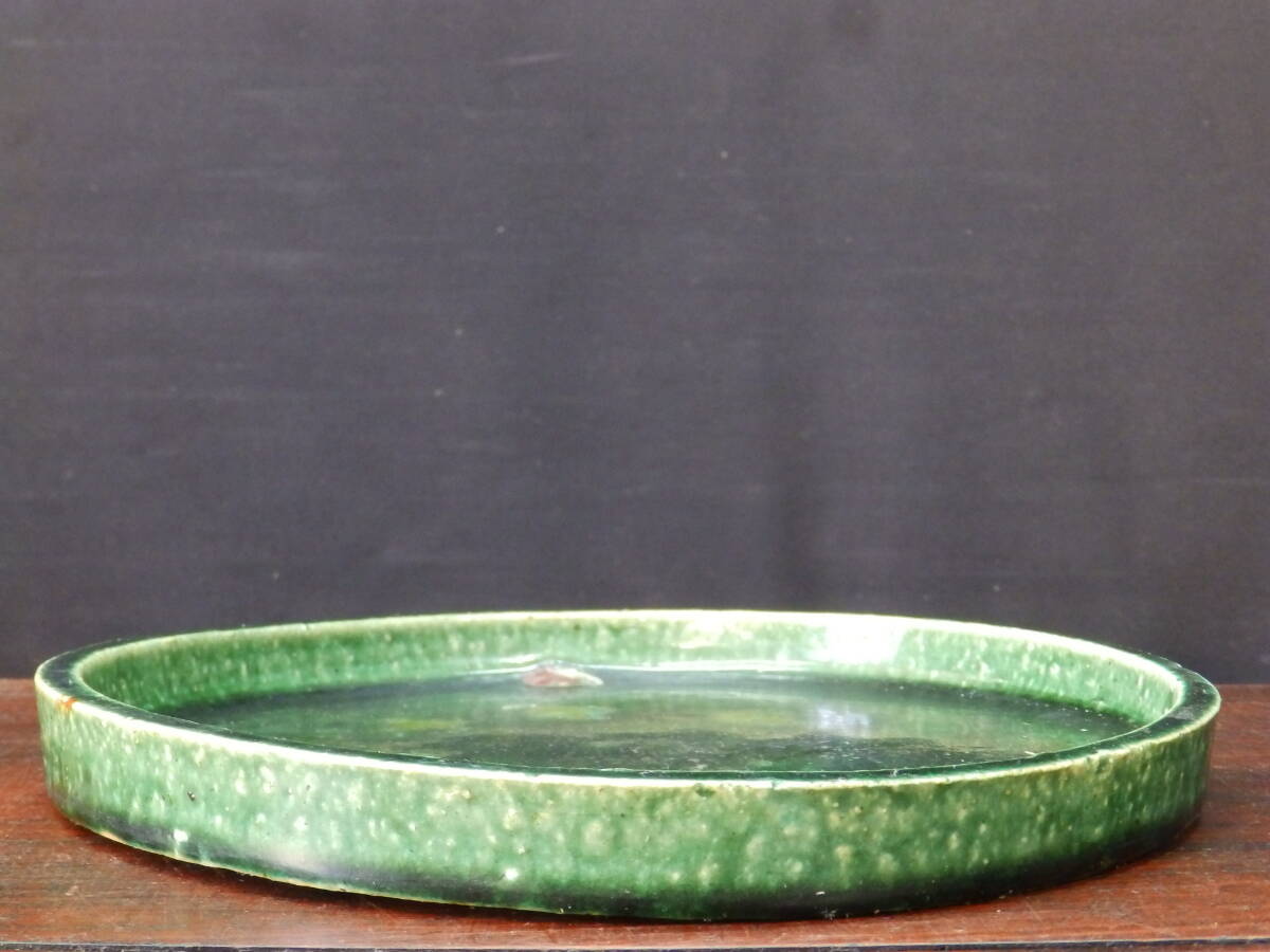 ★盆栽日和★　和鉢 【越前芳水】 緑釉切立丸型水盤　22.7㎝