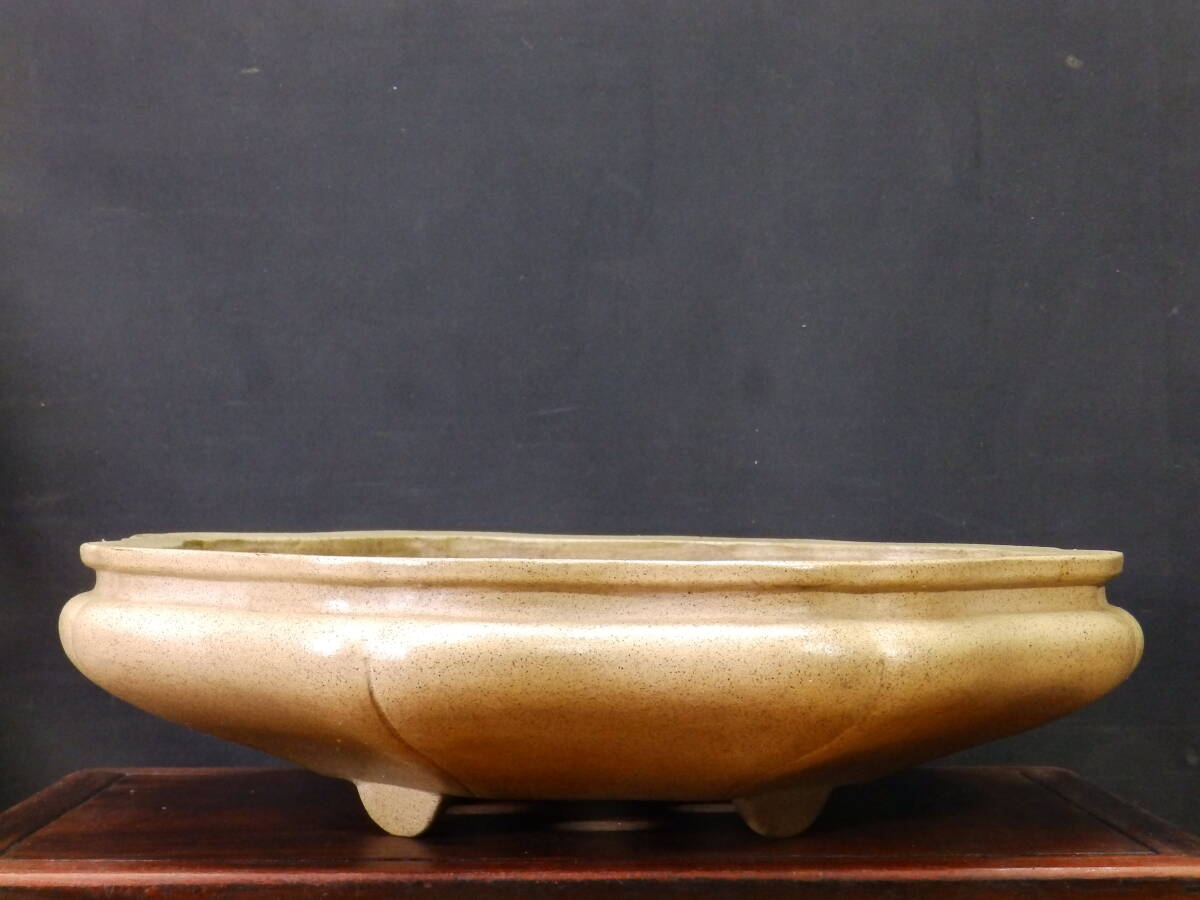 ★盆栽日和★　和鉢 【銭号】 袋式輪花鉢　41㎝ (k)