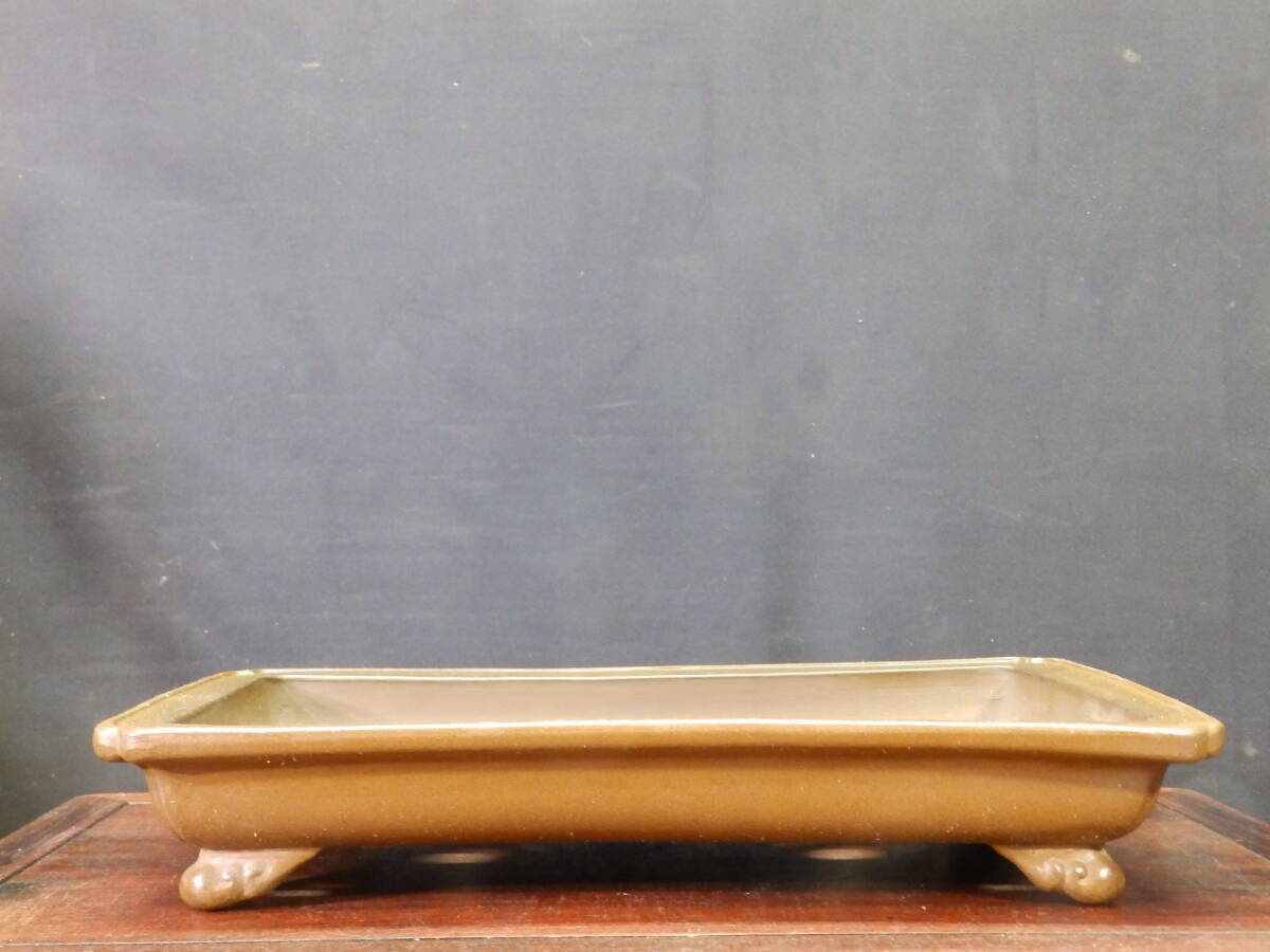 ★盆栽日和★　和鉢 【山秋】 外縁隅入雲足長方鉢　32.7㎝ 