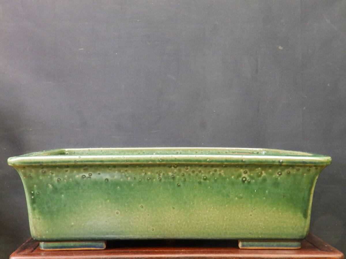 ★盆栽日和★　和鉢 【壱興造】 緑釉外縁長方鉢　46㎝ (n)