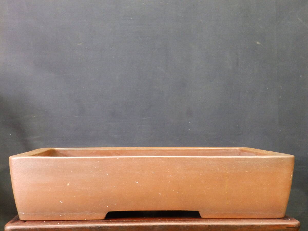 ★盆栽日和★　和鉢 【銭号】 切立長方鉢　47.4㎝ (h・k)