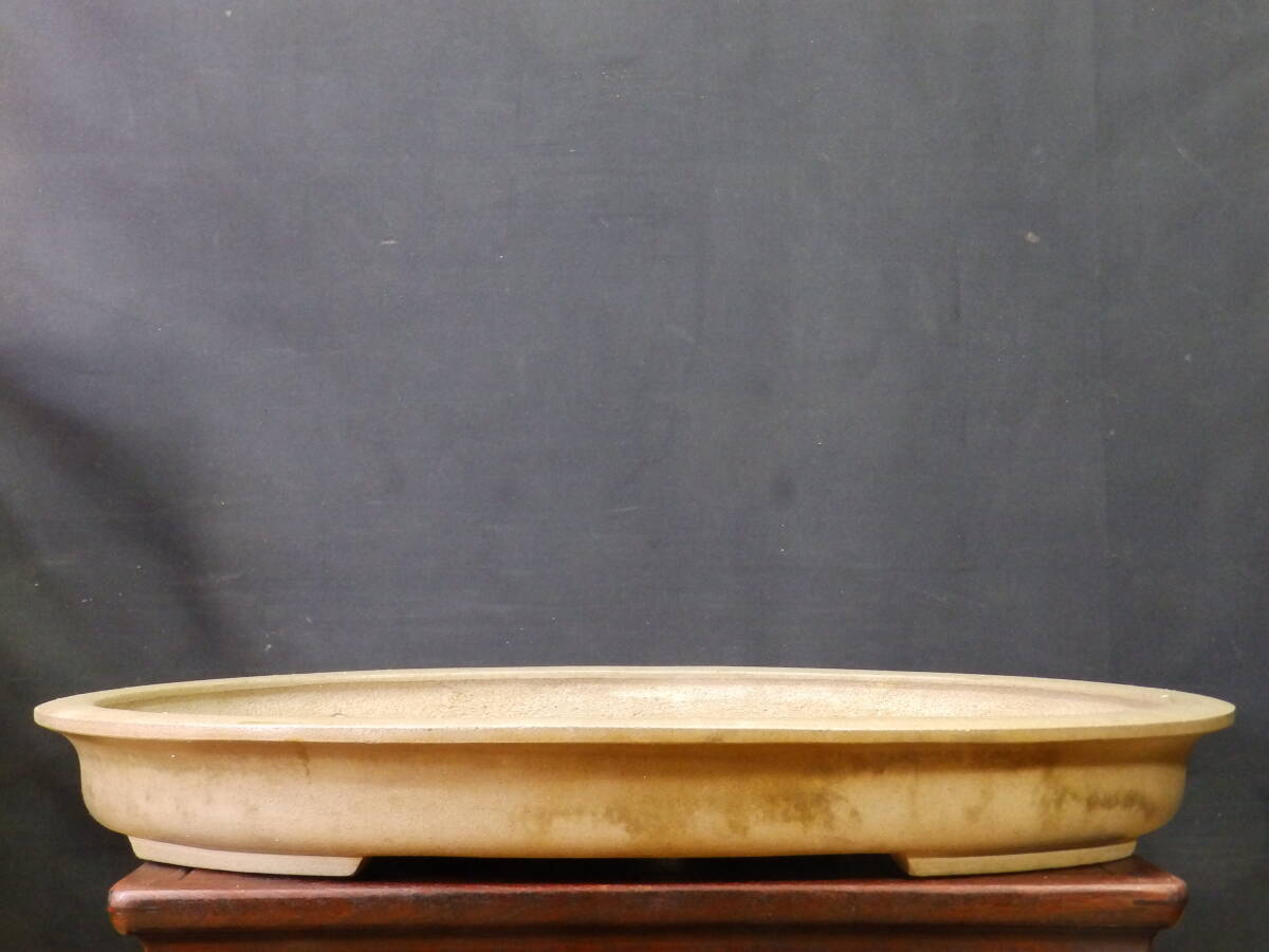 ★盆栽日和★　和鉢 【尾州誠文】 外縁楕円鉢　60㎝ (h)