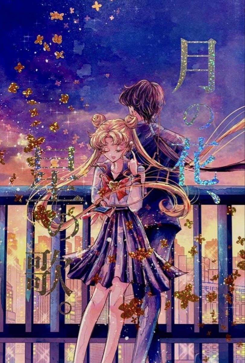 セーラームーン 同人誌　星野光×月野うさぎ　星うさ　フルカラー漫画　p.40