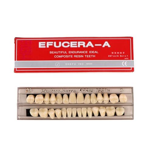 A3 ナチュラルイエロー 仮歯 入れ歯ケア 歯科用アクリル 樹脂 義歯キット ハ