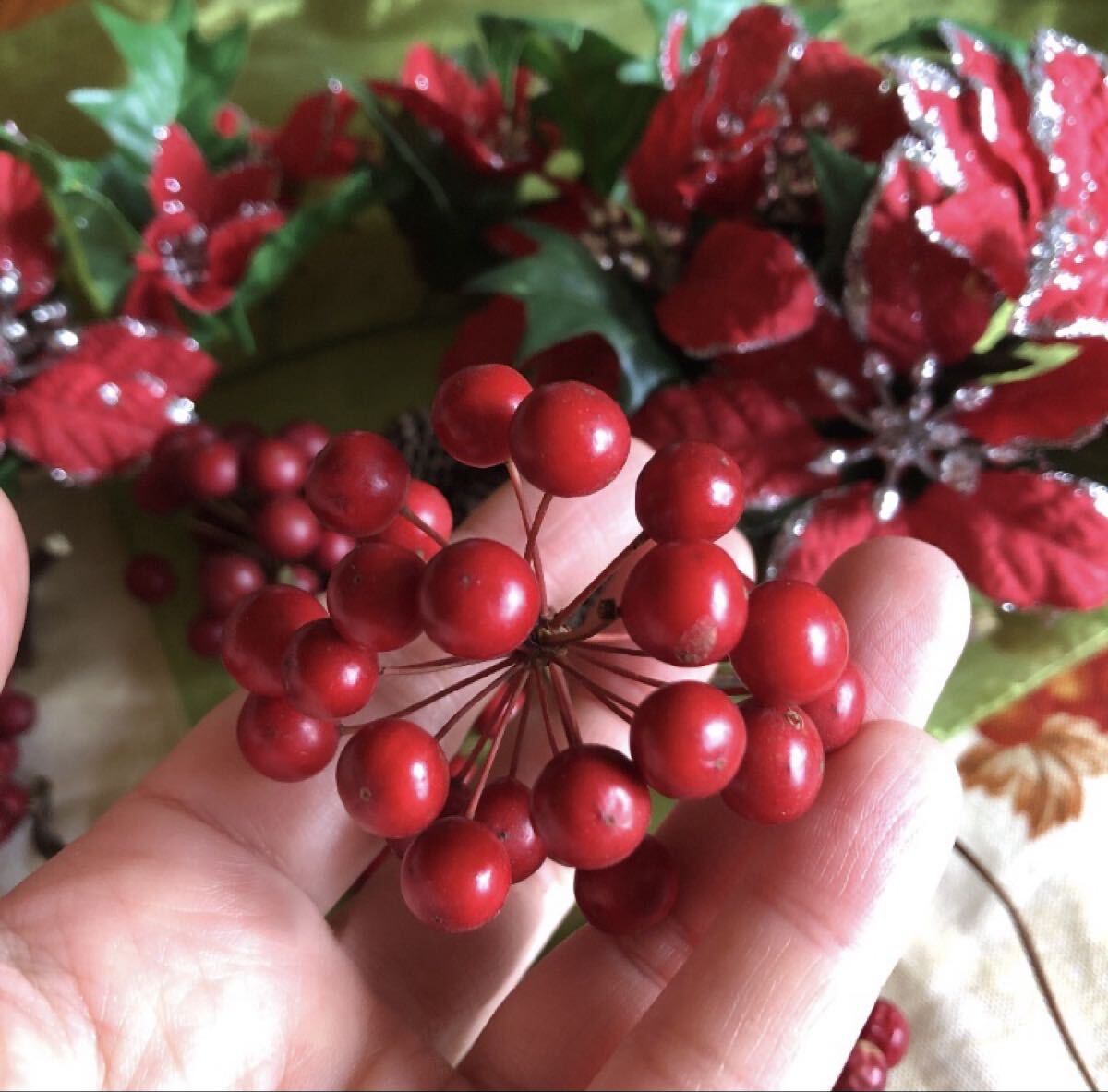 サンキライ(サルトリイバラ) 美しい艶のあるゴージャスな実