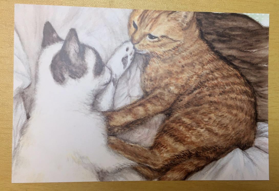 원본 손으로 그린 작품 일러스트 엽서 고양이 서로 쳐다보는 고양이 수채화 재현 [아오키 시즈카] 손으로 그린 일러스트, 만화, 애니메이션 상품, 손으로 그린 그림