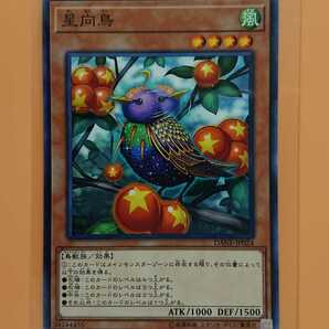 遊戯王 星向鳥