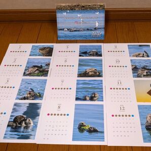 2026年ラッコカレンダー 縦写真版