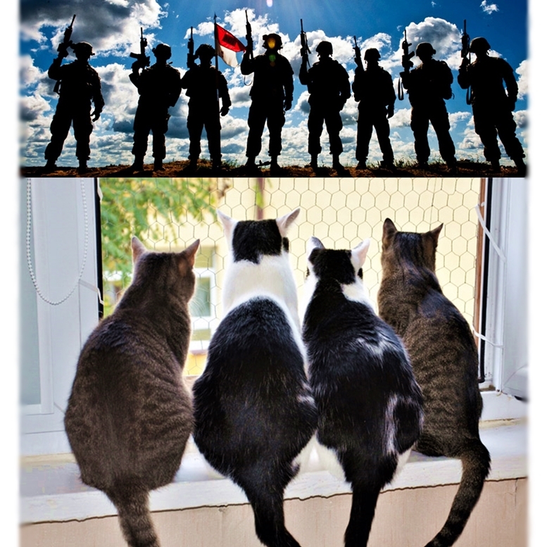 A4 print Military soldier vs cat army bv278 Art Modern art Cat painting Cat painting Cat painting Composite photo Kitty painting Funny cat picture Art, Artwork, Painting, others