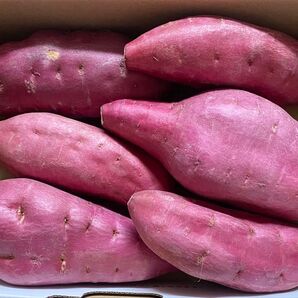 6 特売♪さつまいも 徳島県産 金時 1. 4kg