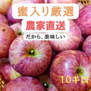 山形県朝日町産・蜜入りりんごサンふじ10キロ前後(大小混合・訳あり)35-45玉