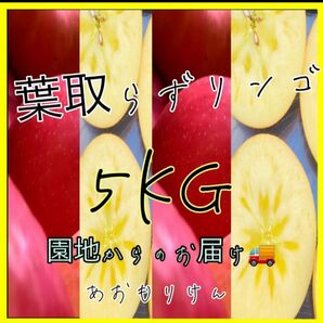 ☆予約販売☆青森県産サンふじ【小玉リンゴ】