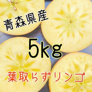 ☆予約販売☆青森県産サンふじ【小玉リンゴ】