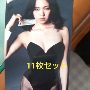 二階堂ふみ L版写真 11枚セットです。