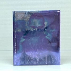 l1/写真集 洋書 /REBONDS /LOUIS VUITTON /XAVIER LAMBOURS, METIS /unicef