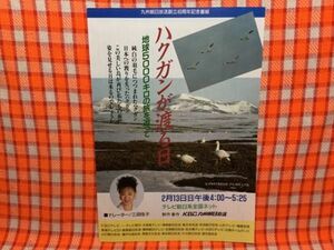 CN15271◆切抜き◇三田佳子前田吟山辺有紀岩淵健◇広告・ハクガンが渡る日・地球5000キロの旅を追って・渡る世間は鬼ばかり・橋田壽賀子