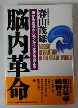 春山茂雄「脳内革命 ～脳から出るホルモンが生き方を変える～」 著者☆春山茂雄 発行☆サンマーク出版　　_画像1