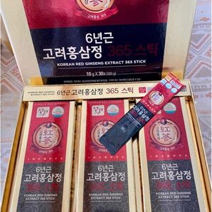 6年根高麗紅参365スティック10gx30包