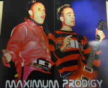 Prodigy : Maximum Prodigy (The Unauthorised Biography Of The Prodigy) CD インタビュー スポークンワード プロディジー_画像4