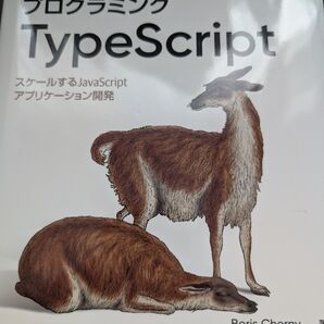 プログラミングTypeScript スケールするJavaScriptアプリケーション開発 O'REILLY