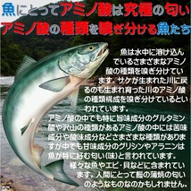 つけエサ用 集魚剤 アミノ酸 アラニン グリシン グルタミン酸豊富 アミノ酸スコア100 サバ パウダー 30g ２個組 山下漁具店 釣り侍のデコ餌_画像5