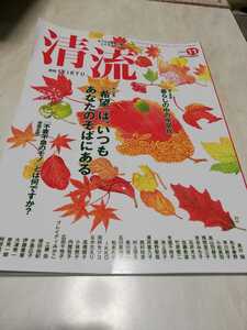 清流　2020年　11月　主婦たちへ贈る　こころマガジン IKKO 美川憲一　竹原慎二　工藤岳