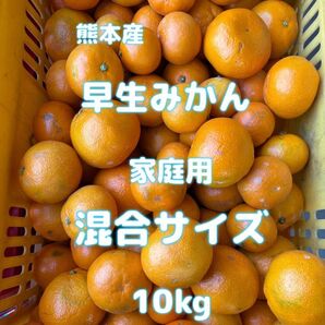 熊本産早生みかん家庭用混合サイズ10kg