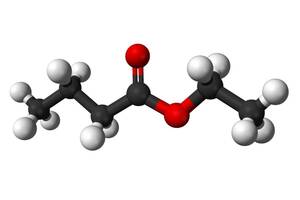 酪酸エチル 99.9%(3N) 300ml C6H12O2 有機化合物標本 試薬