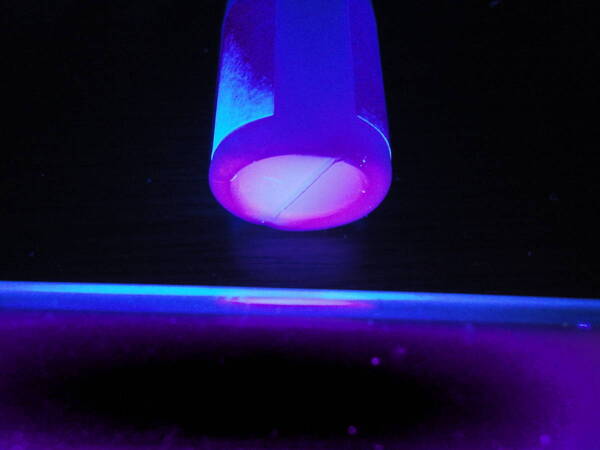 EuF3 フッ化ユウロピウム(III) 10g 99.9%(3N) 無機化合物標本 試薬 強蛍光体 三フッ化ユウロピウム europium(III) fluoride 送料無料