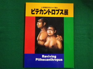 ■ピテカントロプス展 いま復活するジャワ原人 日本人の源流をさぐる 国立科学博物館　1996年■F3IM2020120708■