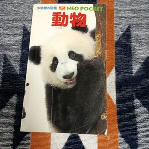 小学生向けの動物図鑑、NEO POCKET動物