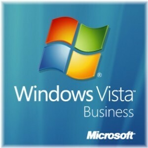 【正規・新品未開封品】Windows Vista Business 32Bit SP1 OEM 日本語版（DVD）+ジャンクメモリ