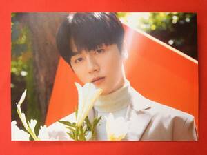 SF9 エスエフナイン 2021 SEASON'S GREETINGS BLOOMING TIME シーグリ カレンダー フォトカード ヨンビン YOUNGBIN 即決