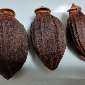 干柿 愛宕柿 9個